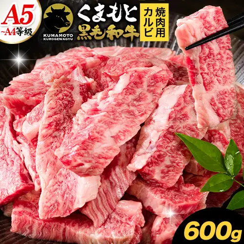 くまもと黒毛和牛 上 カルビ 焼肉 切り落とし 600g 《30日以内に出荷予定(土日祝除く)》熊本県 南関町 上カルビ 焼肉用 黒毛和牛 焼肉 肉 お肉 和牛 A5 A4 300g 小分け