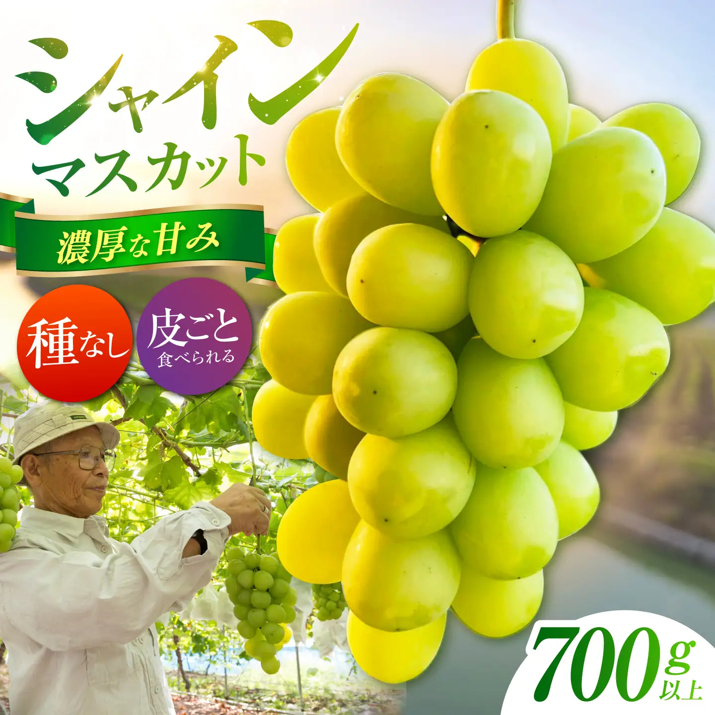 【先行予約】 シャインマスカット 700g以上 【小林農園】 / ブドウ ぶどう 果物 種なし[HAX008]