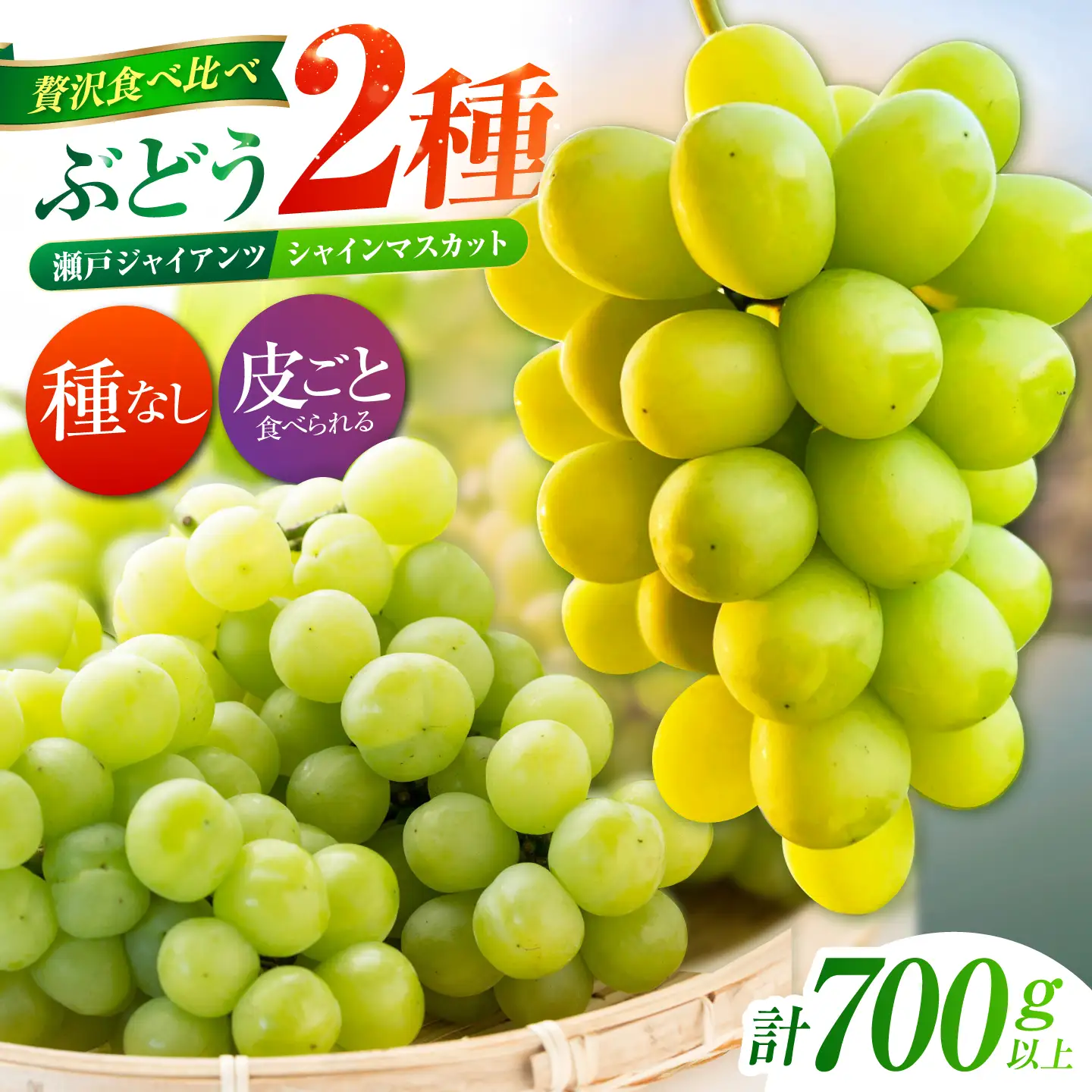 【先行予約】 ぶどう2種詰め合わせ（瀬戸ジャイアンツ・シャインマスカット） 総計700g以上 【小林農園】 / ブドウ ぶどう 果物 種なし[HAX011]