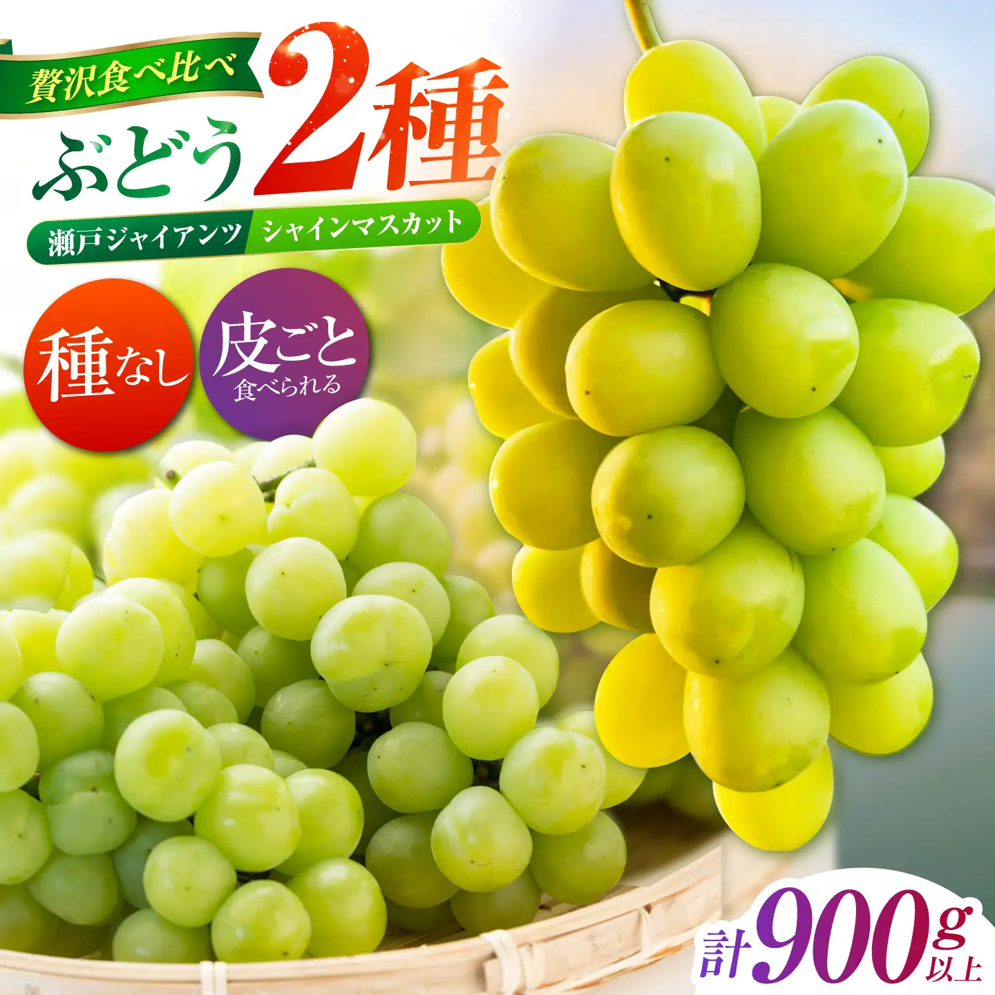 【先行予約】 ぶどう2種詰め合わせ（瀬戸ジャイアンツ・シャインマスカット） 総計900g以上 【小林農園】 / ブドウ ぶどう 果物 種なし[HAX012]