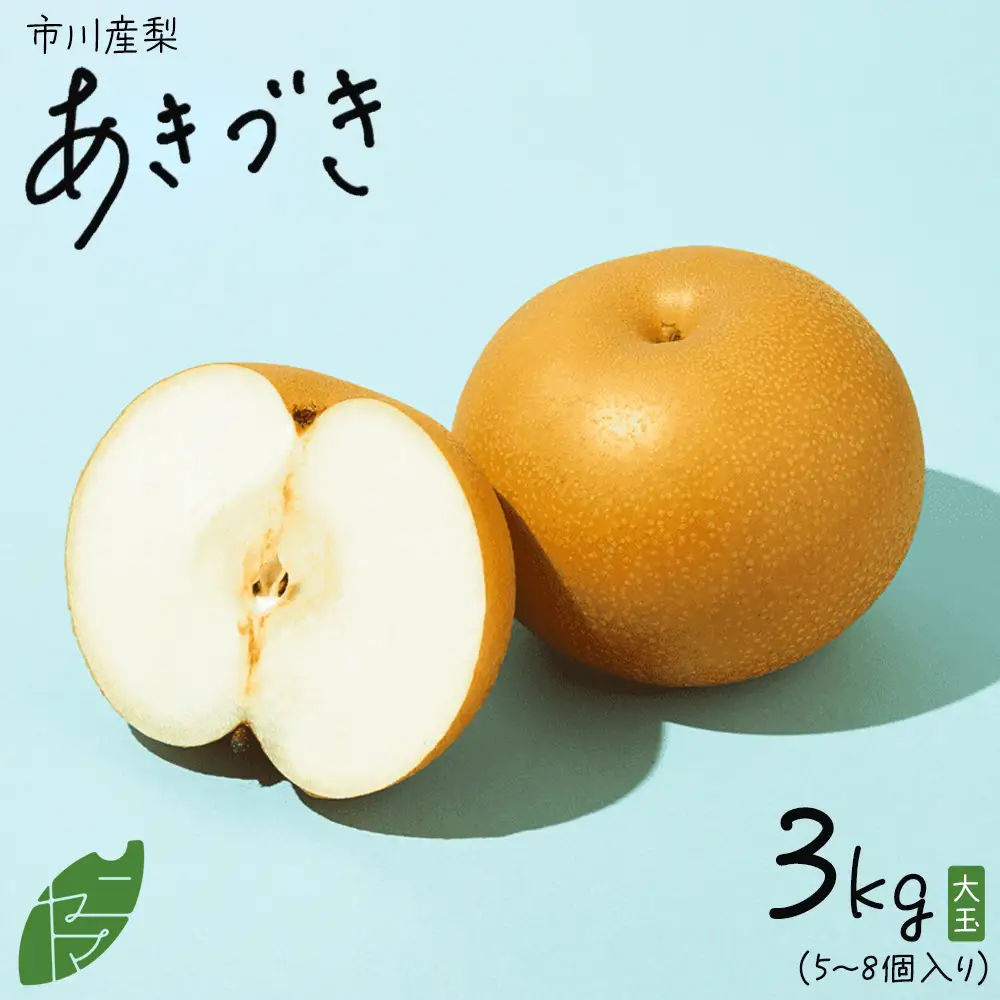 市川産　梨　あきづき　3kg　【12203-0463】 なし ナシ 市川のなし 果物 くだもの フルーツ 市川市 ヤマニ果樹農園