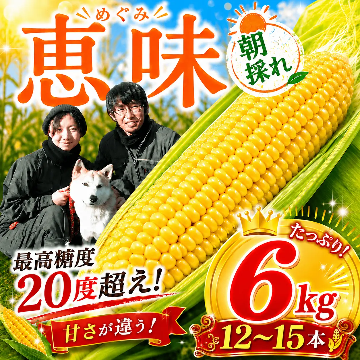 【高評価】めぐみ 朝採れ とうもろこし 6kg [SBF002_X1] とうもろこし