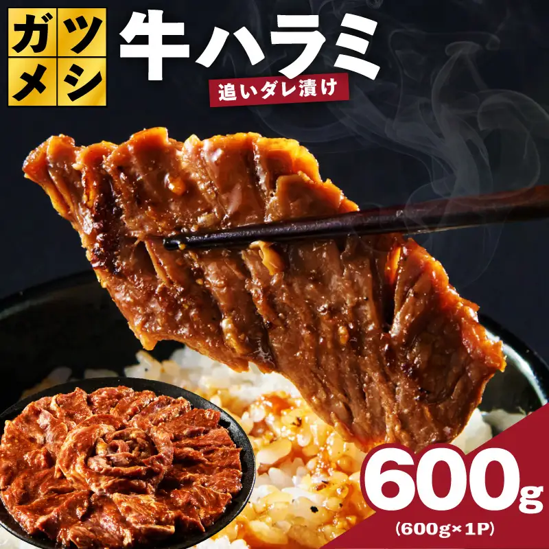 ガツめし牛ハラミ 600g 追いダレ漬け