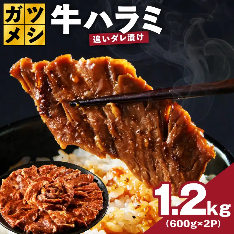 ガツめし牛ハラミ 1.2kg 追いダレ漬け