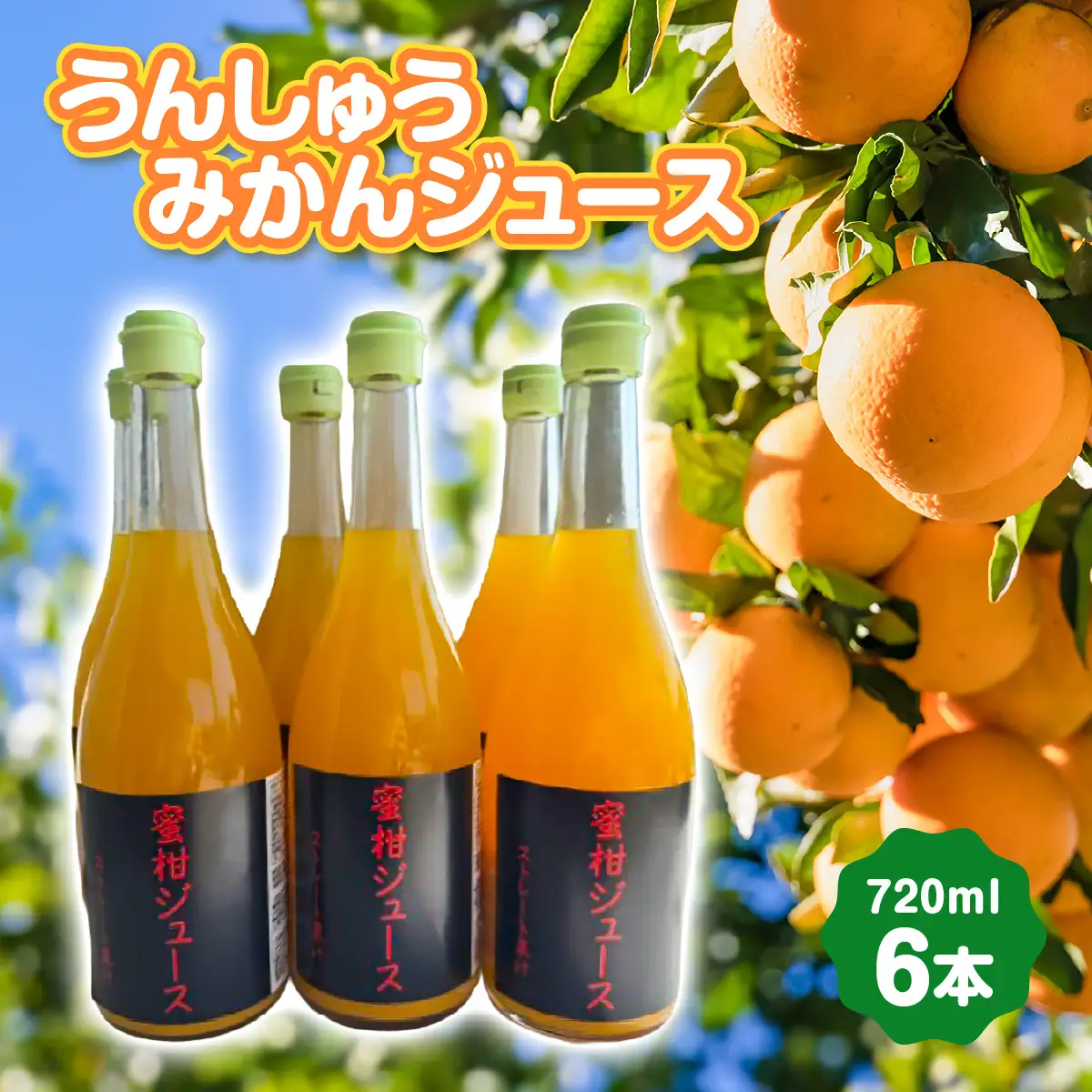 うんしゅうみかんジュース720ml 6本【E101-2】YWTBV002