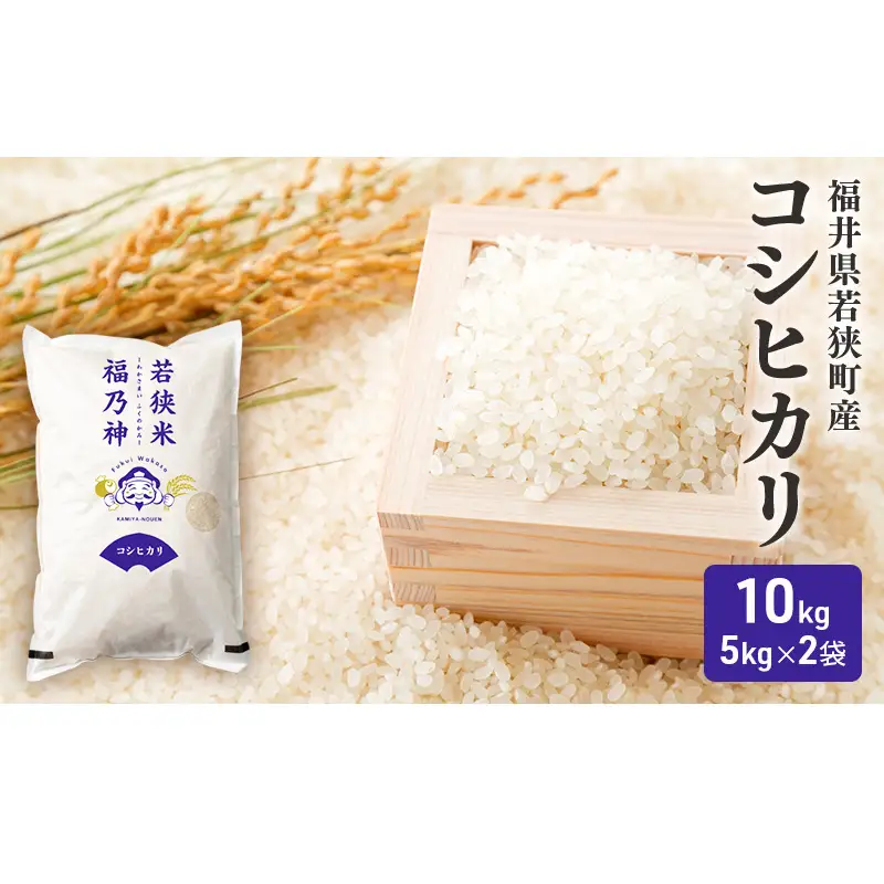【10月お届け】令和8年産 若狭町コシヒカリ10kg 米 お米 こしひかり 福井県