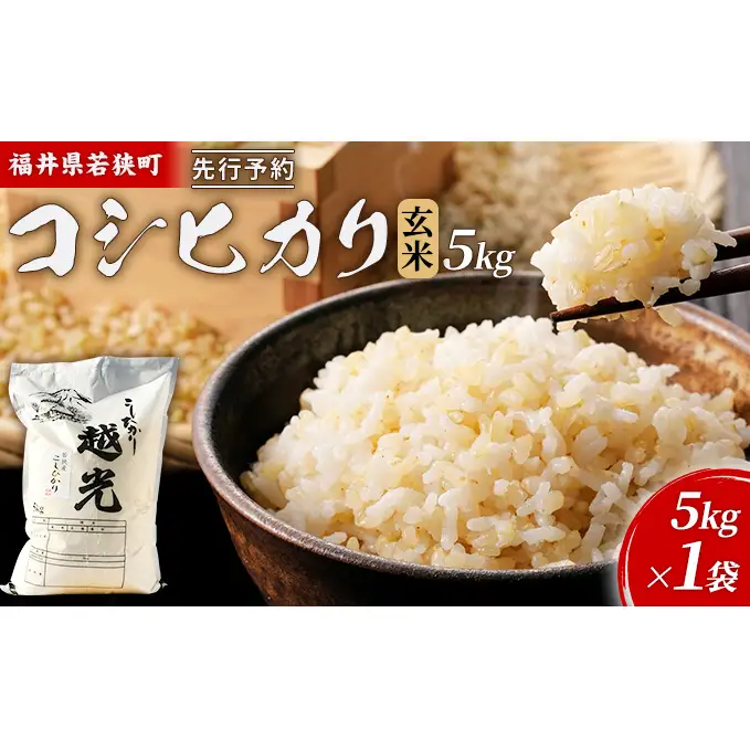 【10月お届け】令和8年産 若狭町コシヒカリ玄米5kg 米 お米 こしひかり 福井県