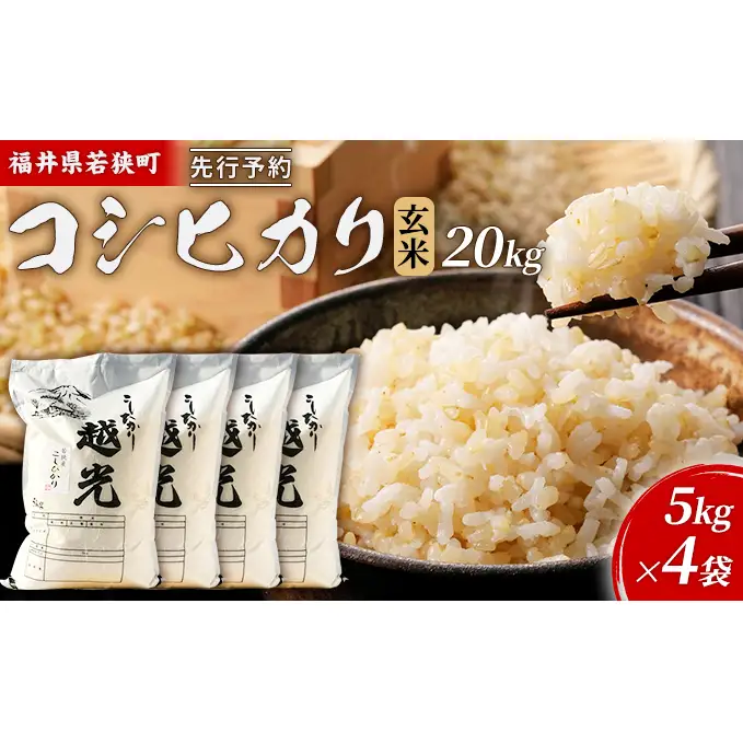 【10月お届け】令和8年産 若狭町コシヒカリ玄米20kg 米 お米 こしひかり 福井県