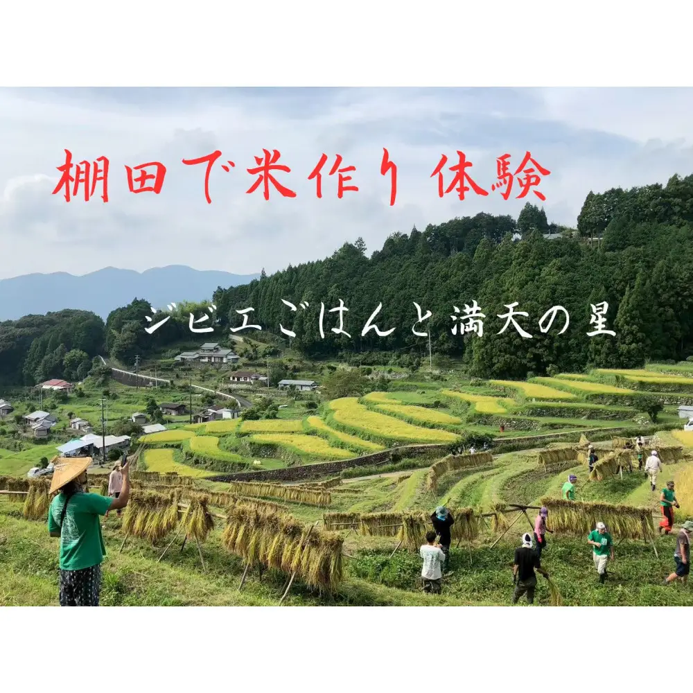 棚田で米作り体験 一般用 （参加チケット1回分）