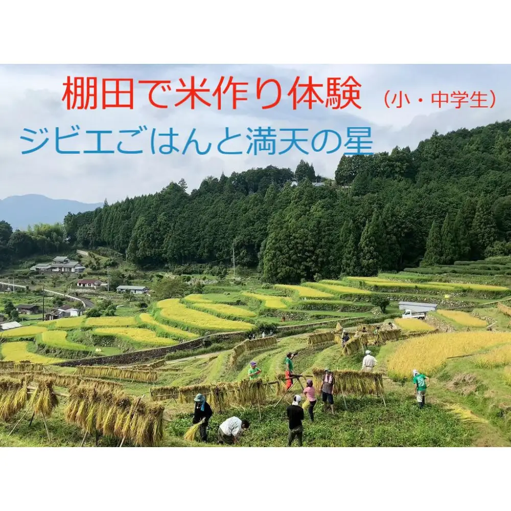 棚田で米作り体験 小・中学生用 （参加チケット1回分）