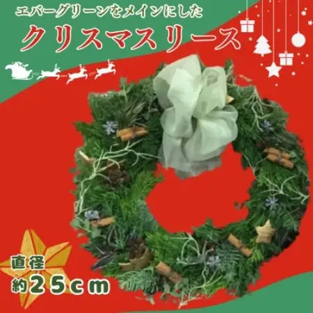 【2026年11月下旬より順次発送予定】日出町からお届け!クリスマスのメインにもなれる自慢のリース♪【配送不可地域：離島】【1743091】