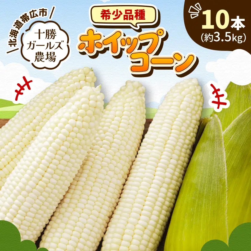 先行受付【十勝ガールズ農場】希少品種「ホイップコーン」10本【配送不可地域：離島】【1719276】