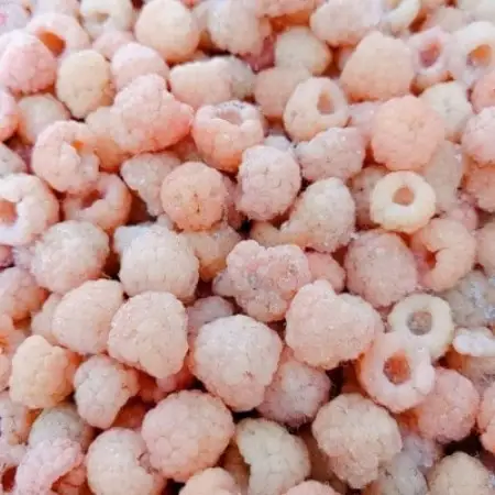 【令和8年10月以降出荷】冷凍イエローラズベリー 1kg(500g×2袋)【配送不可地域：離島】【1725954】