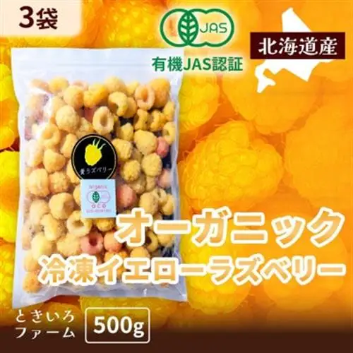 冷凍イエローラズベリー 1.5kg(500g×3袋) 有機JAS認証【配送不可地域：離島】【1725956】