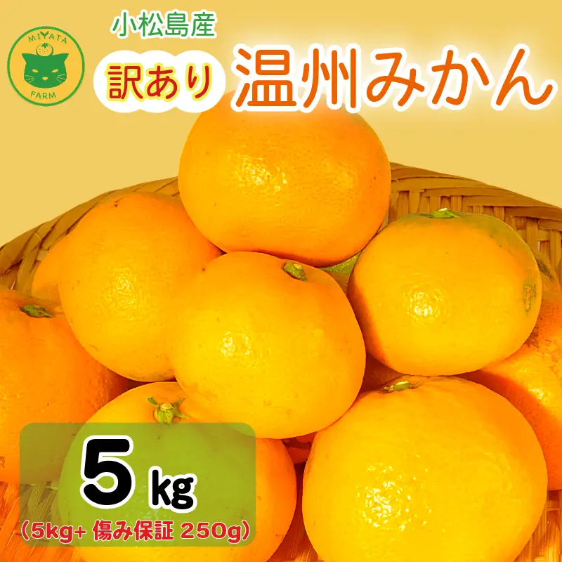 【2026年12月発送】訳あり 温州みかん 5kg + 250g(傷み補償分) みかん