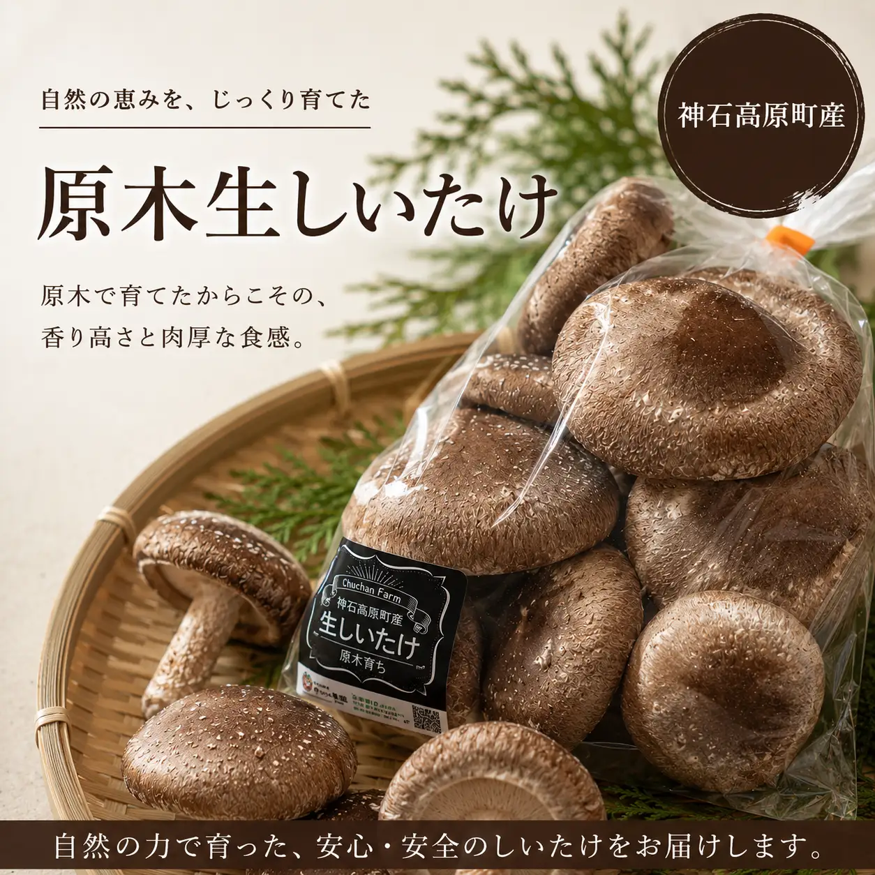 【ふるさと納税】神石高原産 原木生しいたけ 約200g 肉厚で香り豊か 原木栽培 椎茸 しいたけ 国産｜中ちゃん農園 広島県 神石高原町