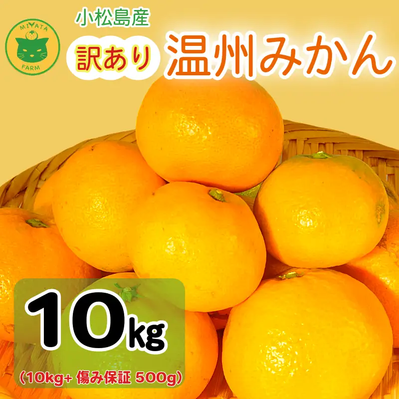【2026年12月発送】訳あり 温州みかん 10kg + 500g(傷み補償分) みかん