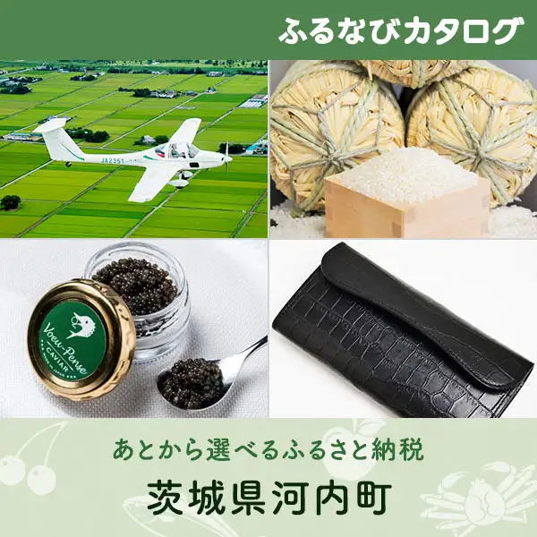 【有効期限なし！後からゆっくり特産品を選べる】茨城県河内町カタログポイント