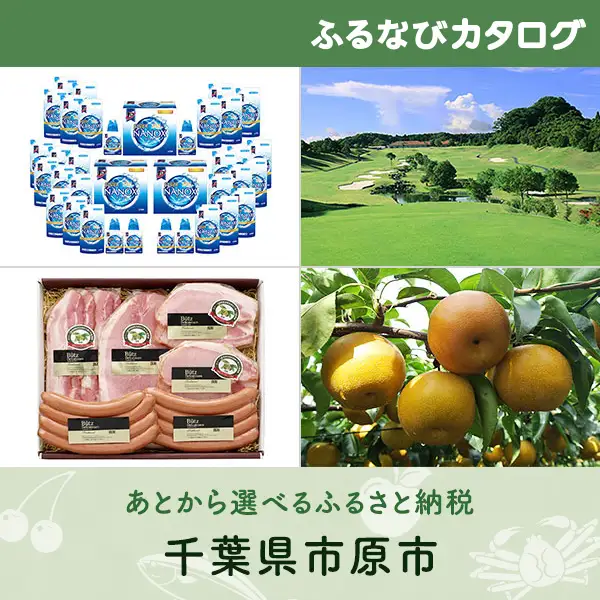 【有効期限なし！後からゆっくり特産品を選べる】千葉県市原市カタログポイント