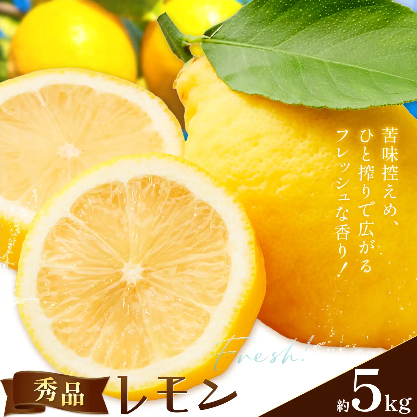 レモン 秀品 5kg 株式会社農業福祉研究機構