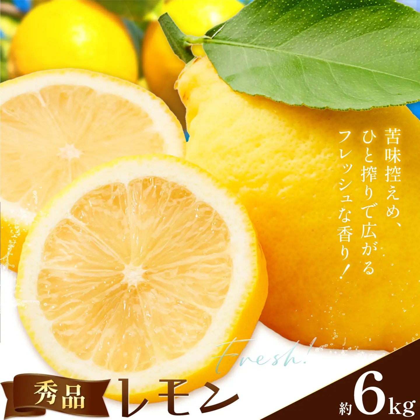 レモン 秀品 6kg 株式会社農業福祉研究機構