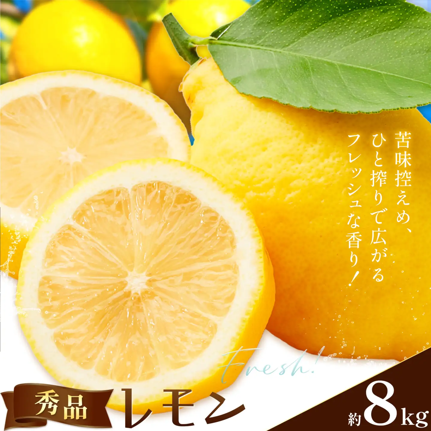 レモン 秀品 8kg 株式会社農業福祉研究機構