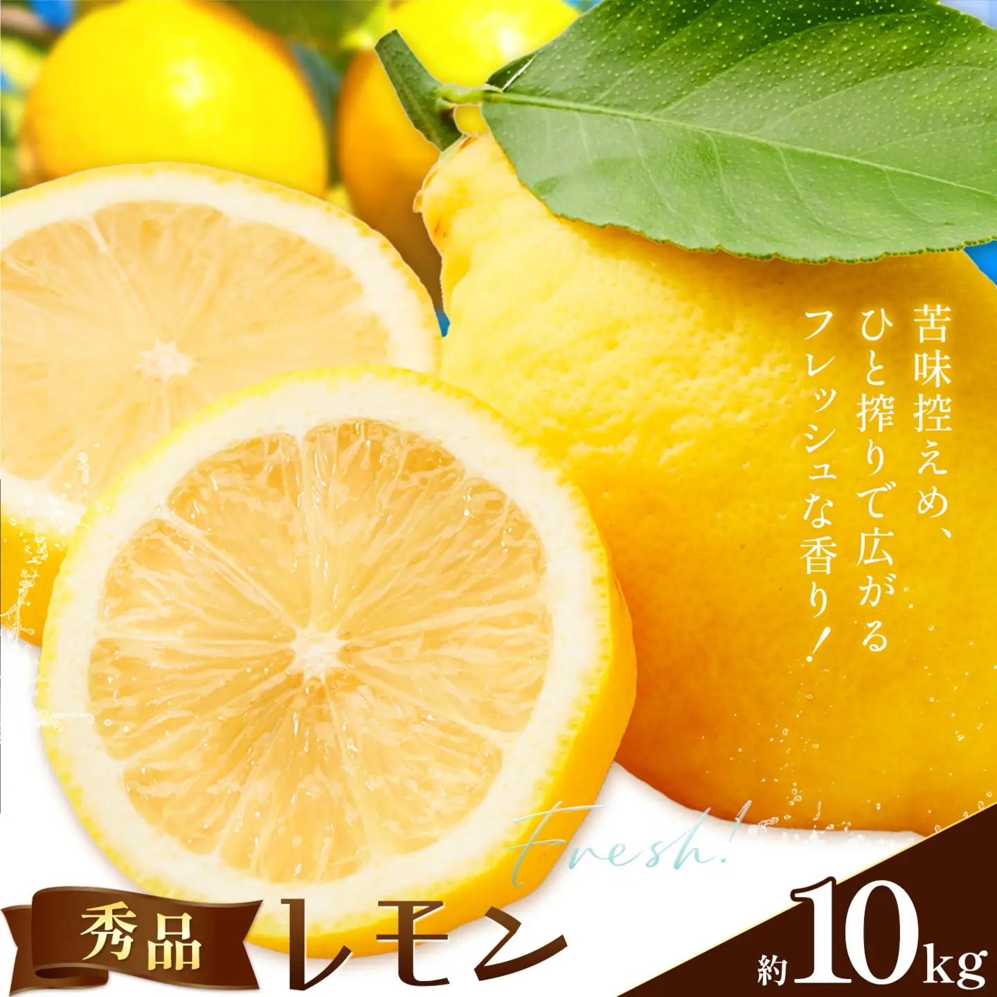 レモン 秀品 10kg 株式会社農業福祉研究機構