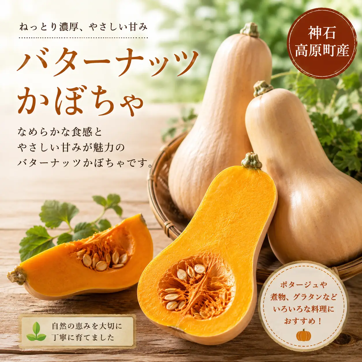【ふるさと納税】神石高原産 バターナッツかぼちゃ 約4kg クリーミーで濃厚な味わい 国産かぼちゃ｜中ちゃん農園 広島県 神石高原町 野菜