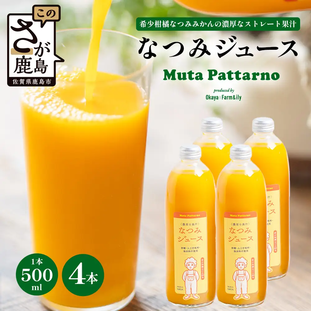B-882 なつみジュース500ml×4本 希少柑橘なつみみかんの濃厚なストレートジュース 佐賀県 鹿島市