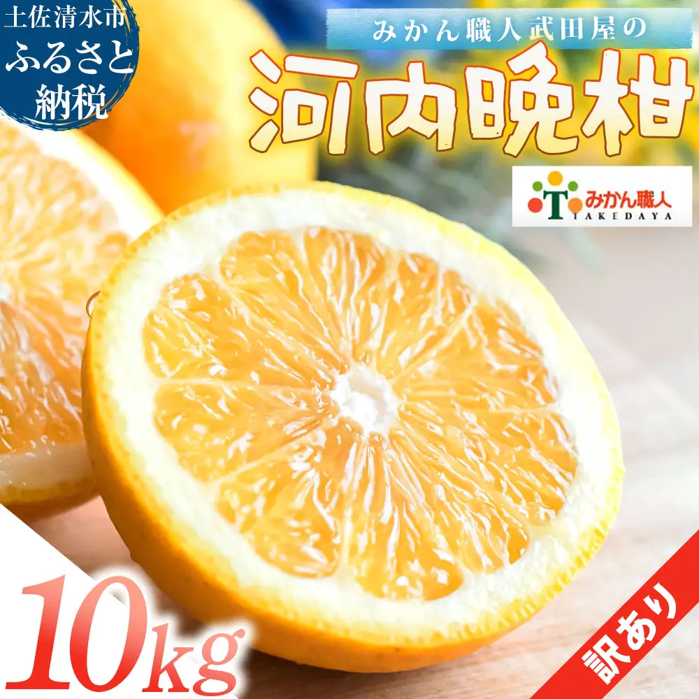 訳あり 河内晩柑 10kg みかん職人武田屋【R01617-1】