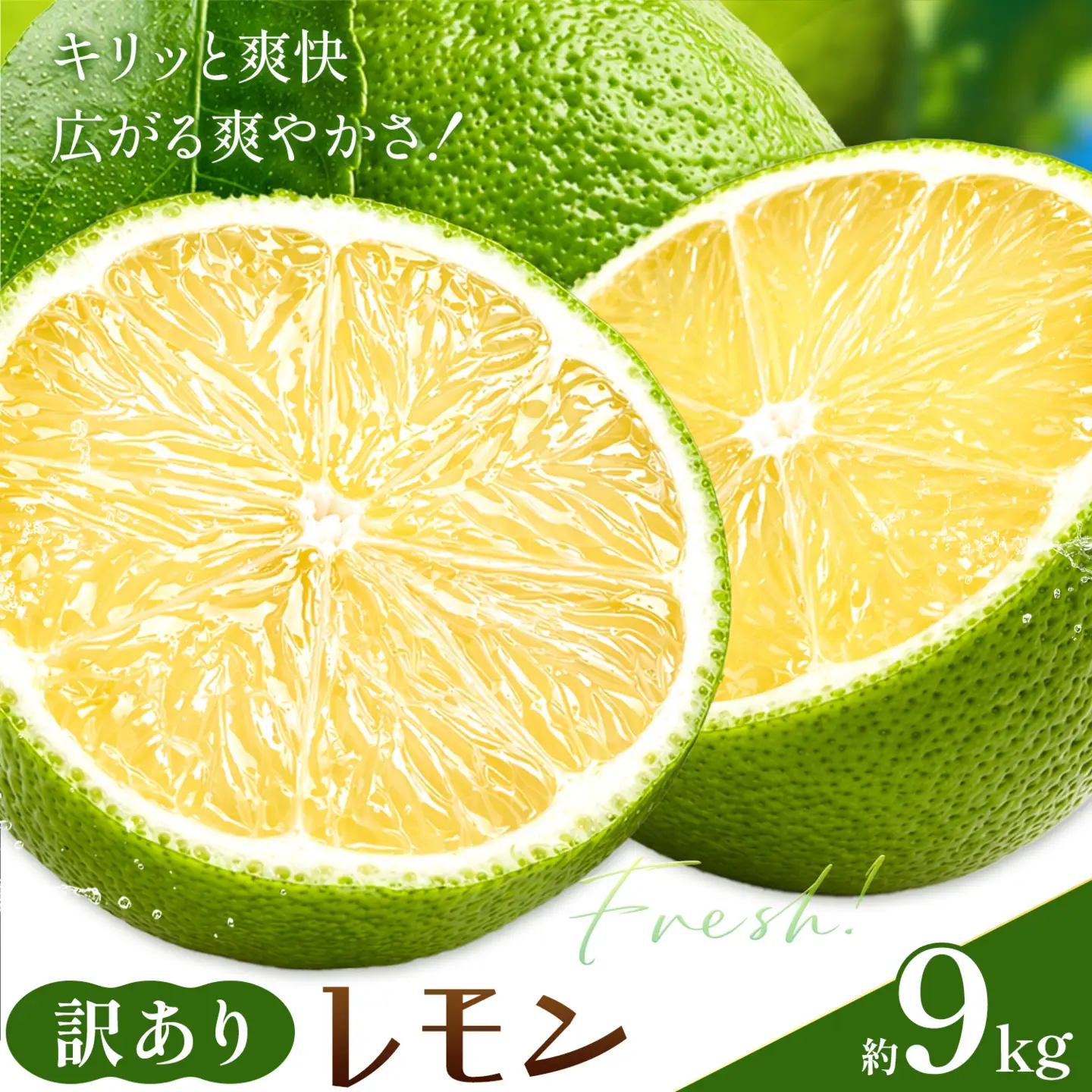 レモン 訳あり 緑色 9kg 株式会社農業福祉研究機構