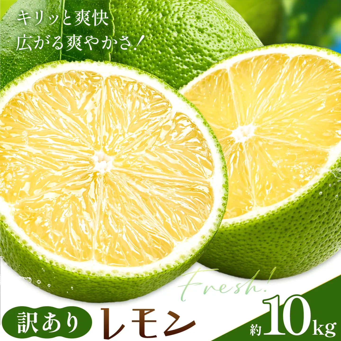 レモン 訳あり 緑色 10kg 株式会社農業福祉研究機構
