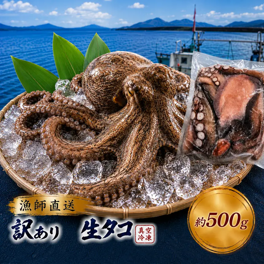 訳あり 瀬戸内 海の幸 セット 真空 生タコ 約 500g 