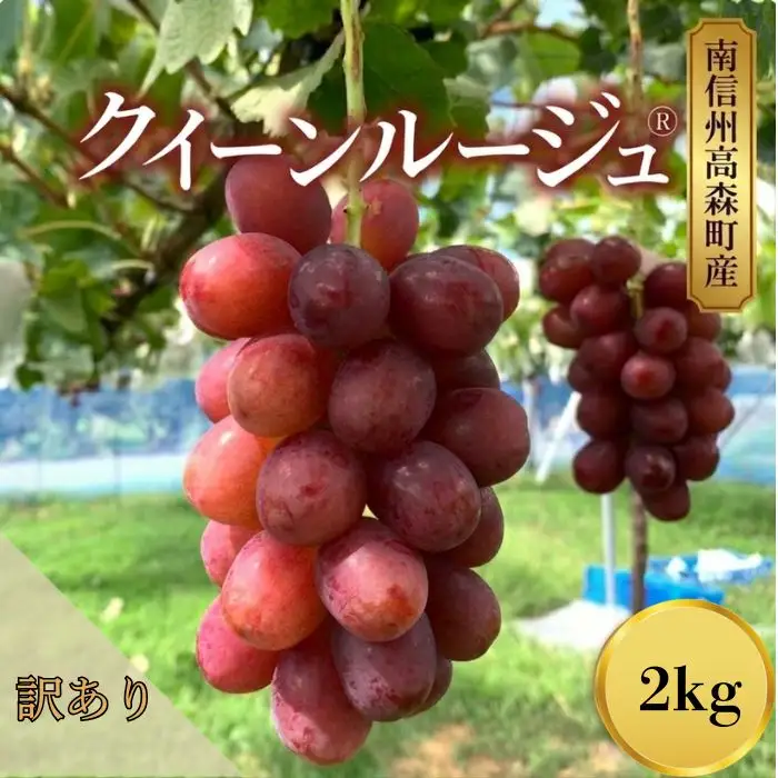 訳ありクイーンルージュ(R）2kg