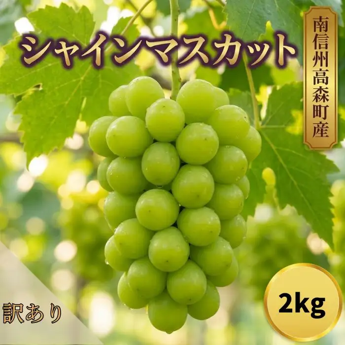 訳ありシャインマスカット2kg