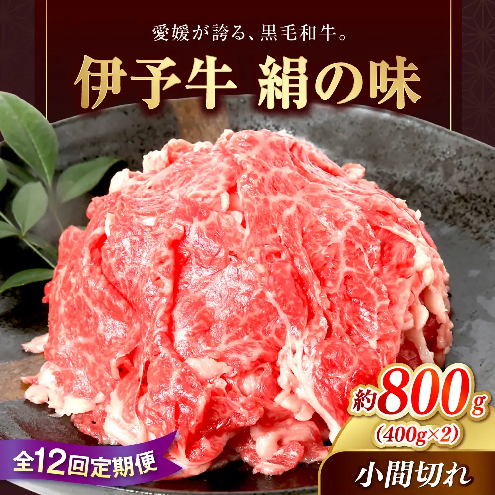 【全12回定期便】伊予牛「絹の味」黒毛和牛小間切れ 800g(400g×2) / 黒毛和牛 伊予牛 和牛 牛肉 肉 牛 こま切れ 国産牛 ブランド牛 おかず すき焼き / 愛媛県砥部町/全国農業協同組合連合会愛媛県本部(砥部町)[BJAT012]