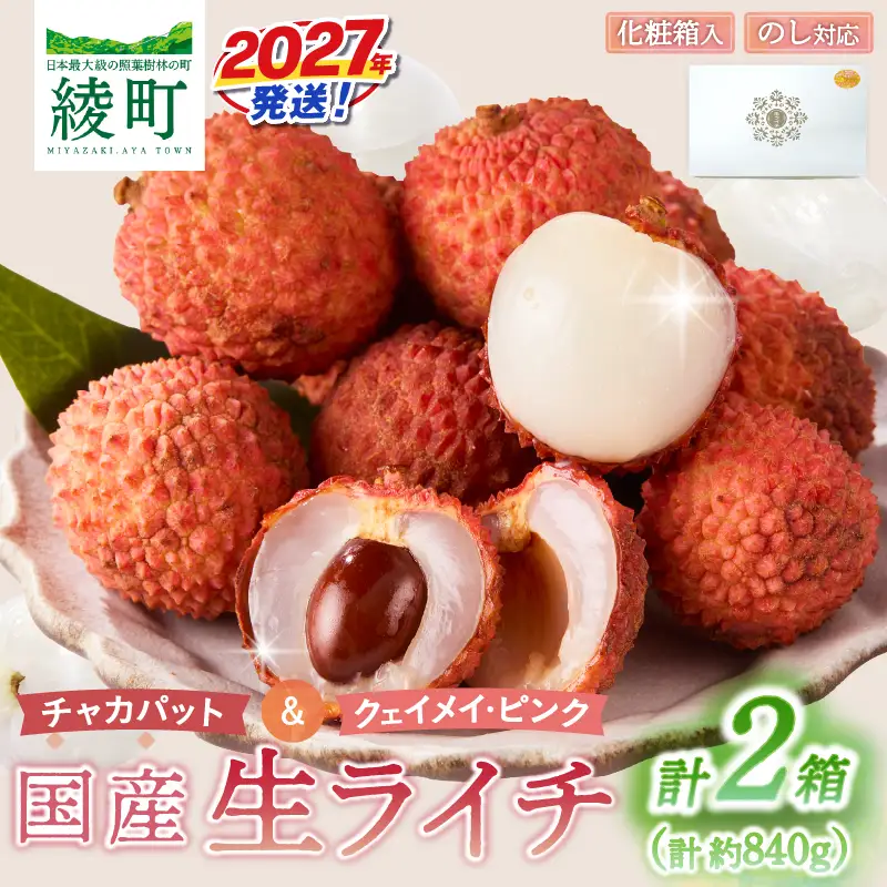 先行予約 数量限定 希少 国産 綾 生ライチ 2箱セット 2種類（化粧箱入り）果物 フルーツ くだもの 国産ライチ 2027年 トロピカルフルーツ 南国フルーツ 冷蔵 ジューシー 高級 デザート ギフト 贈り物 プレゼント ご褒美 宮崎県 送料無料【JA綾町】_A0114-2374