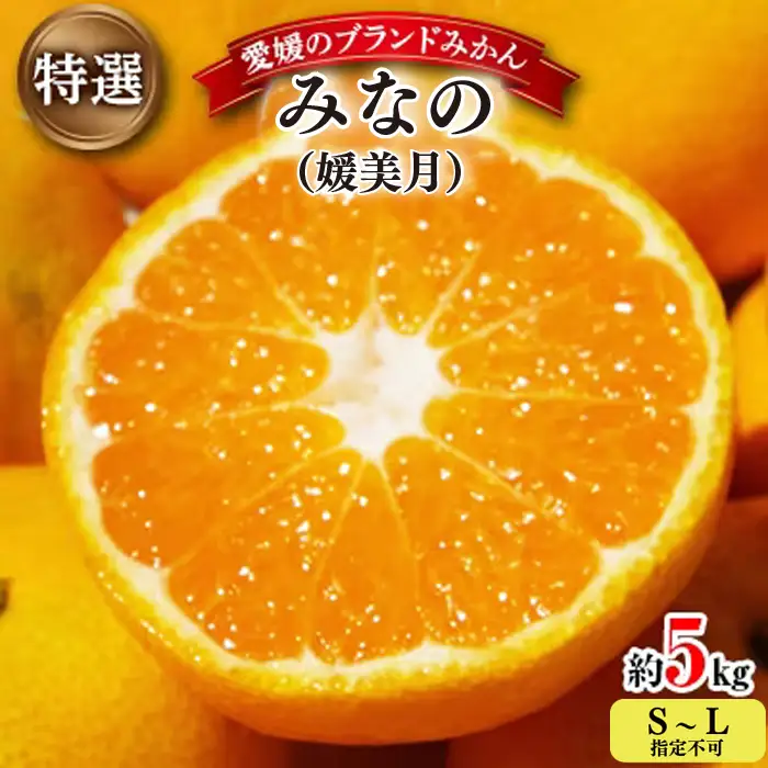 【先行受付】みなの共選・特選「みなの(旧:媛美月)」約5kg【D28-1】【1044600】YWTN001
