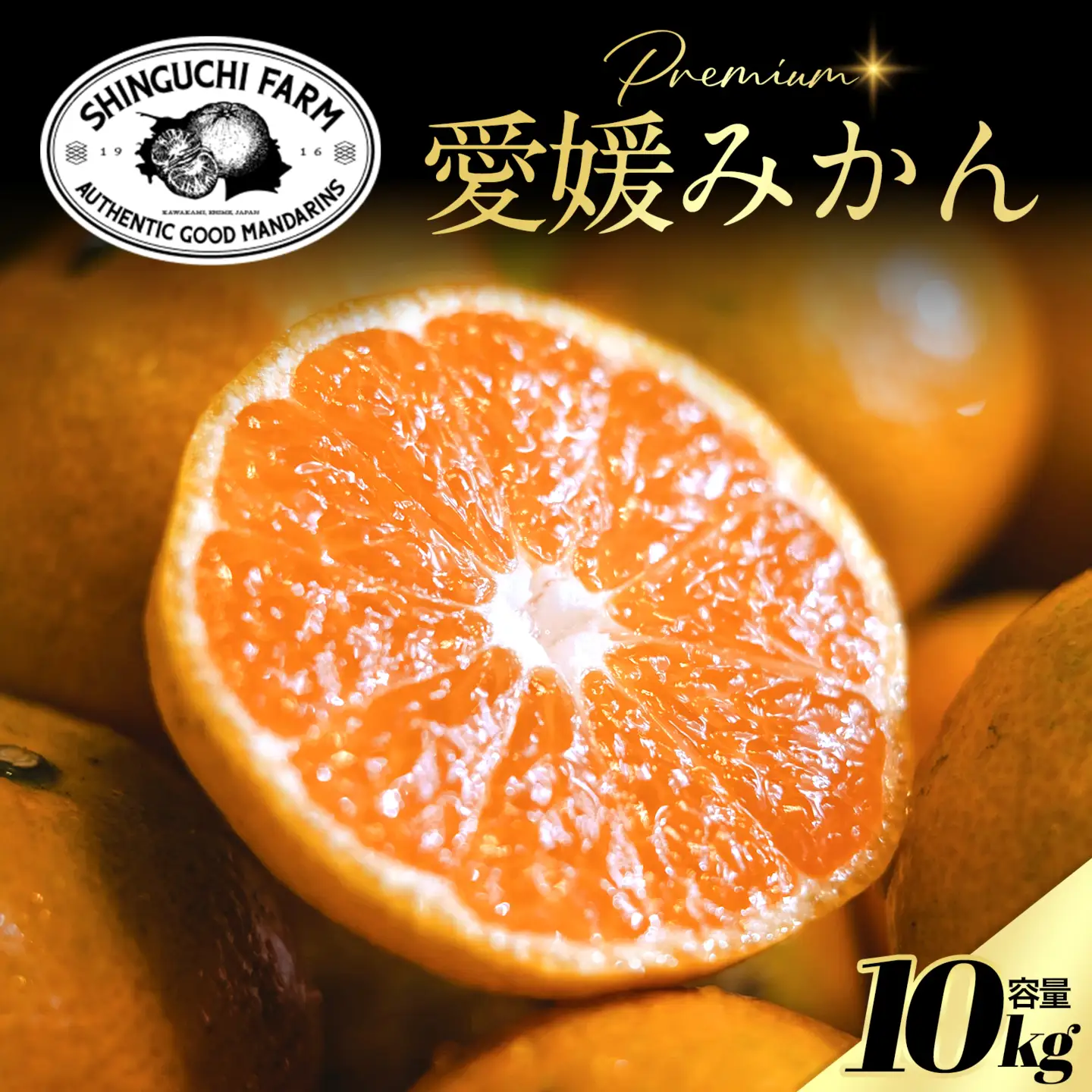 【先行受付】老舗農家が見極めたプレミアム【愛媛みかん10kg】【愛媛県川上産】【E70-91】【1671175】YWTK090