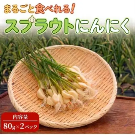 【9月中旬以降順次発送!】まるごと!スプラウトにんにく(80g×2パック)　栄養満点スーパーフード【配送不可地域：離島】【1735498】