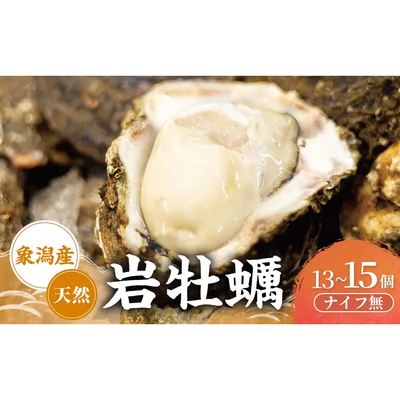 【先行予約】天然岩牡蠣 13~15個 生食可 象潟産 ナイフ無 牡蠣