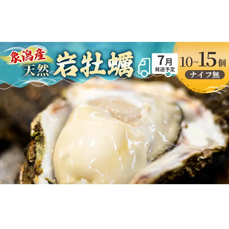 【先行予約】天然岩牡蠣 10～12個 生食可 象潟産 ナイフ無