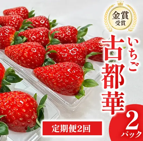 いちご 古都華 北村農園 奈良県産 いちご【2パック】【定期便2回】【先行予約】