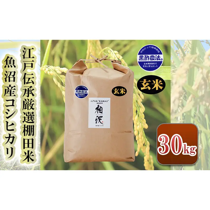 【令和8年産 先行予約】【玄米】江戸伝承厳選棚田米魚沼産コシヒカリ30kg
