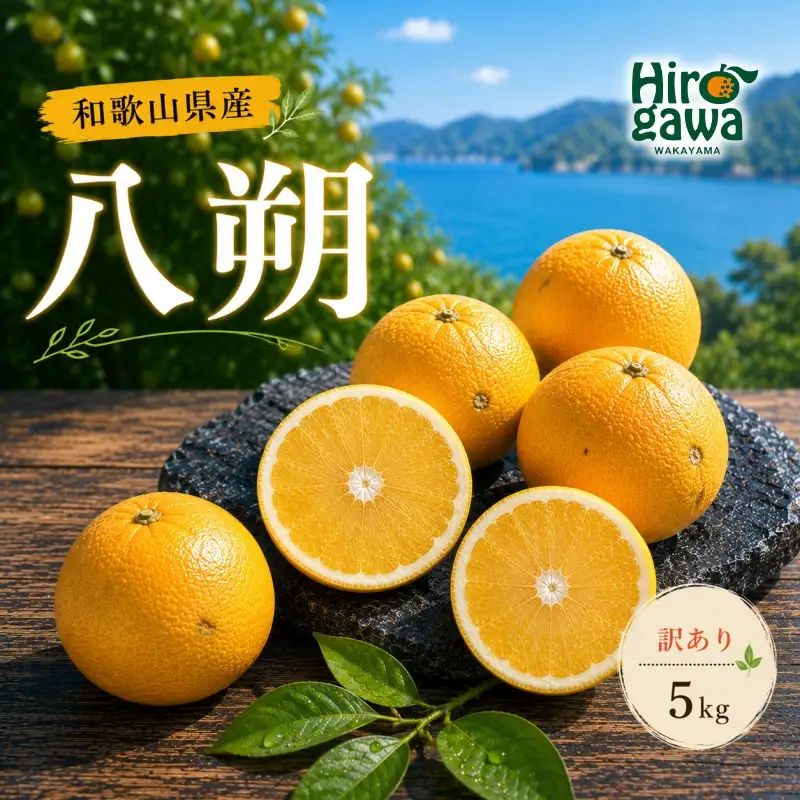 八朔 訳あり 5kg / 和歌山 有田 広川 はっさく 柑橘 果物 くだもの ギフト フルーツ 果実 ※2027年2月上旬～2月下旬頃に順次発送予定【hkt021-c-5】