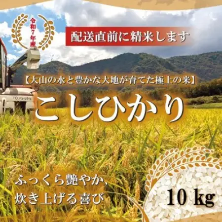 令和7年 鳥取県産　山崎農園こしひかり10kg【1725698】
