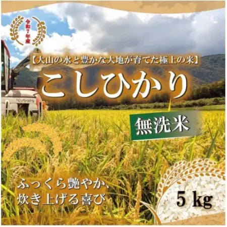 令和7年 鳥取県産　山崎農園こしひかり無洗米5kg【1726587】