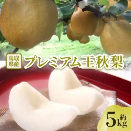 【先行予約】プレミアム王秋梨 約5kg【配送不可地域：離島・北海道・沖縄県】【1733686】