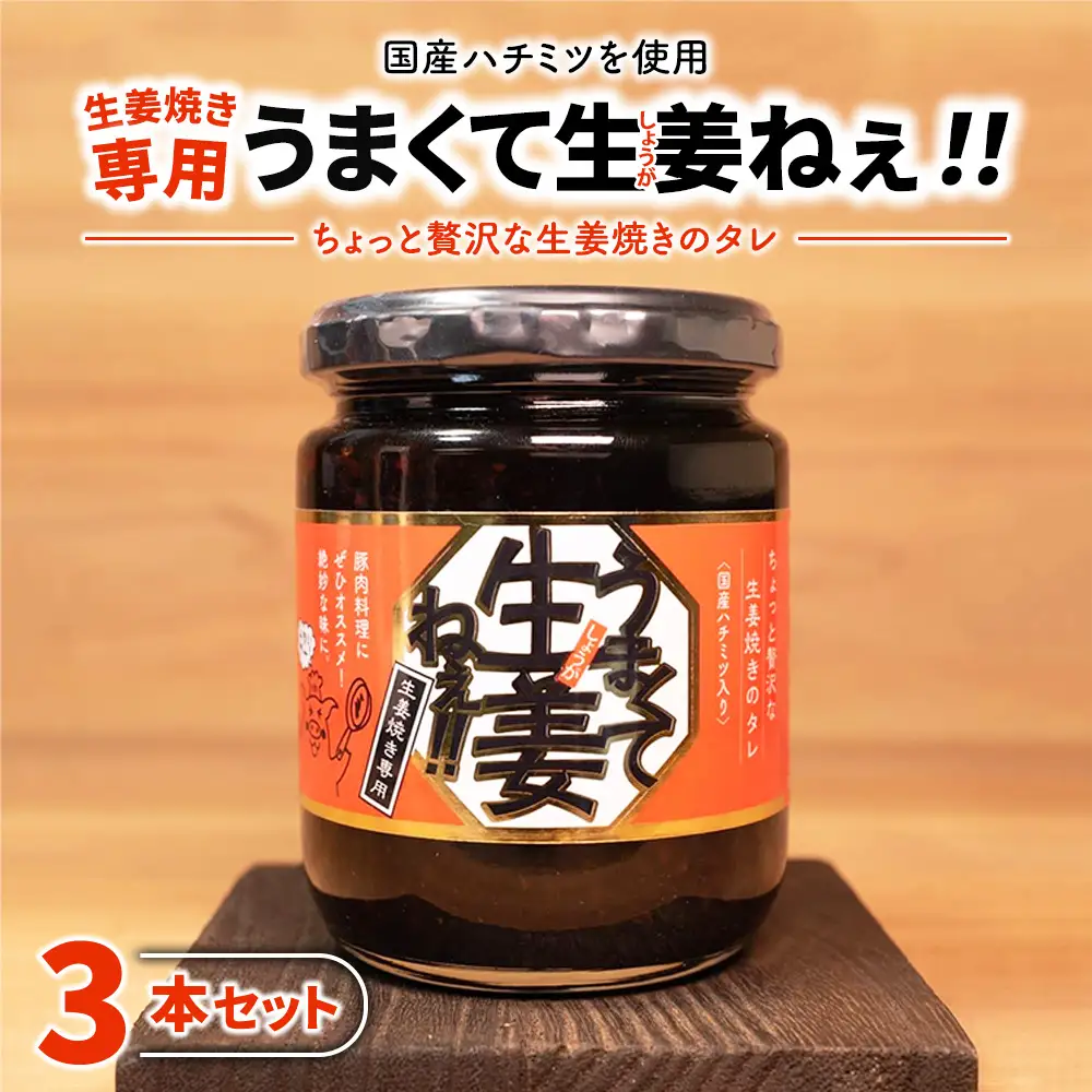うまくて生姜ねぇ!!生姜焼き専用 3本セット | しょうが 国産 醤油漬け しょうが焼き タレ ごはんのお供 調味料 薬味 隠し味 猪苗代町 福島県