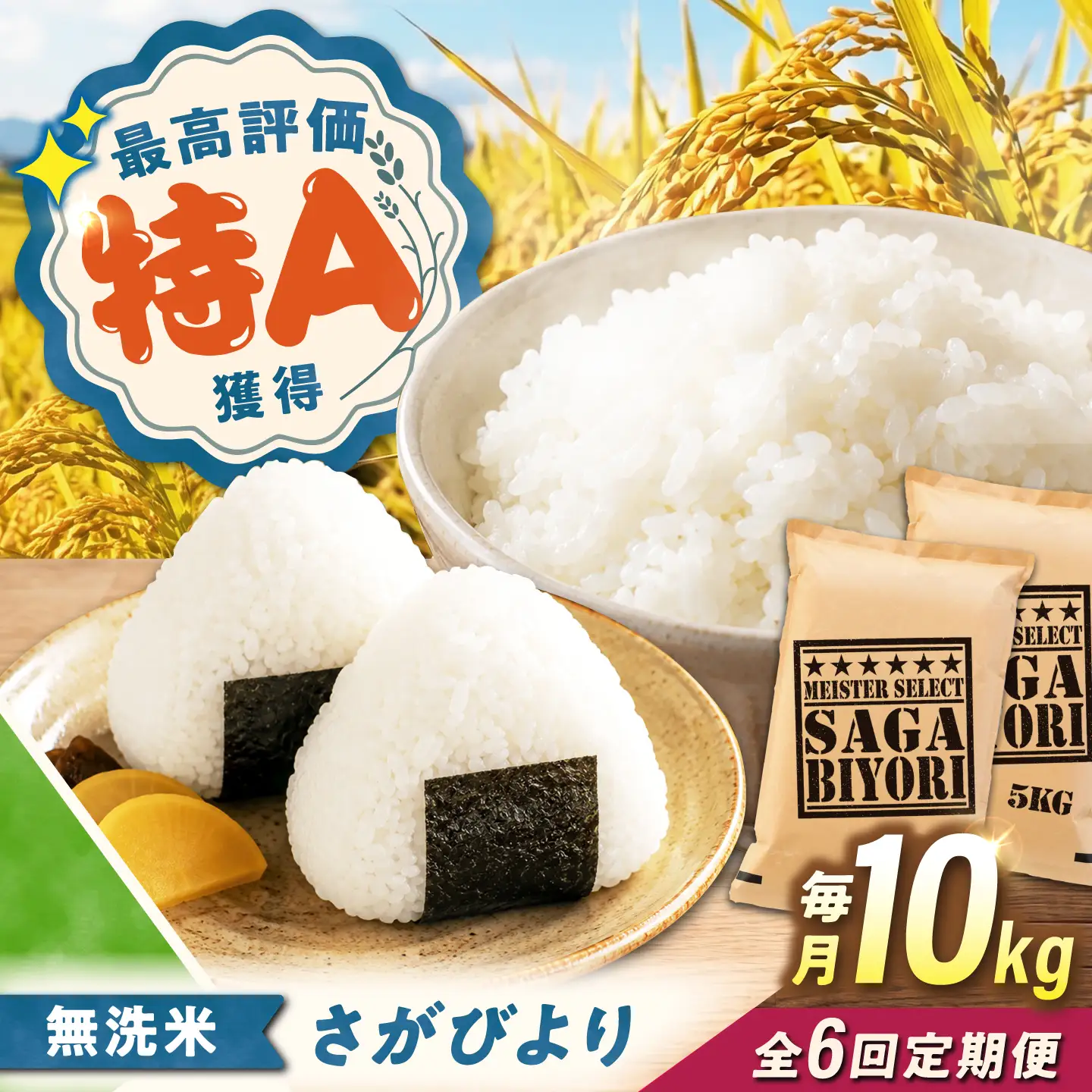 【6回定期便】 無洗米 さがびより 10kg（5kg×2袋） 無洗米 お米 白米 精米 佐賀県産 米 /大塚米穀店[UFE007]